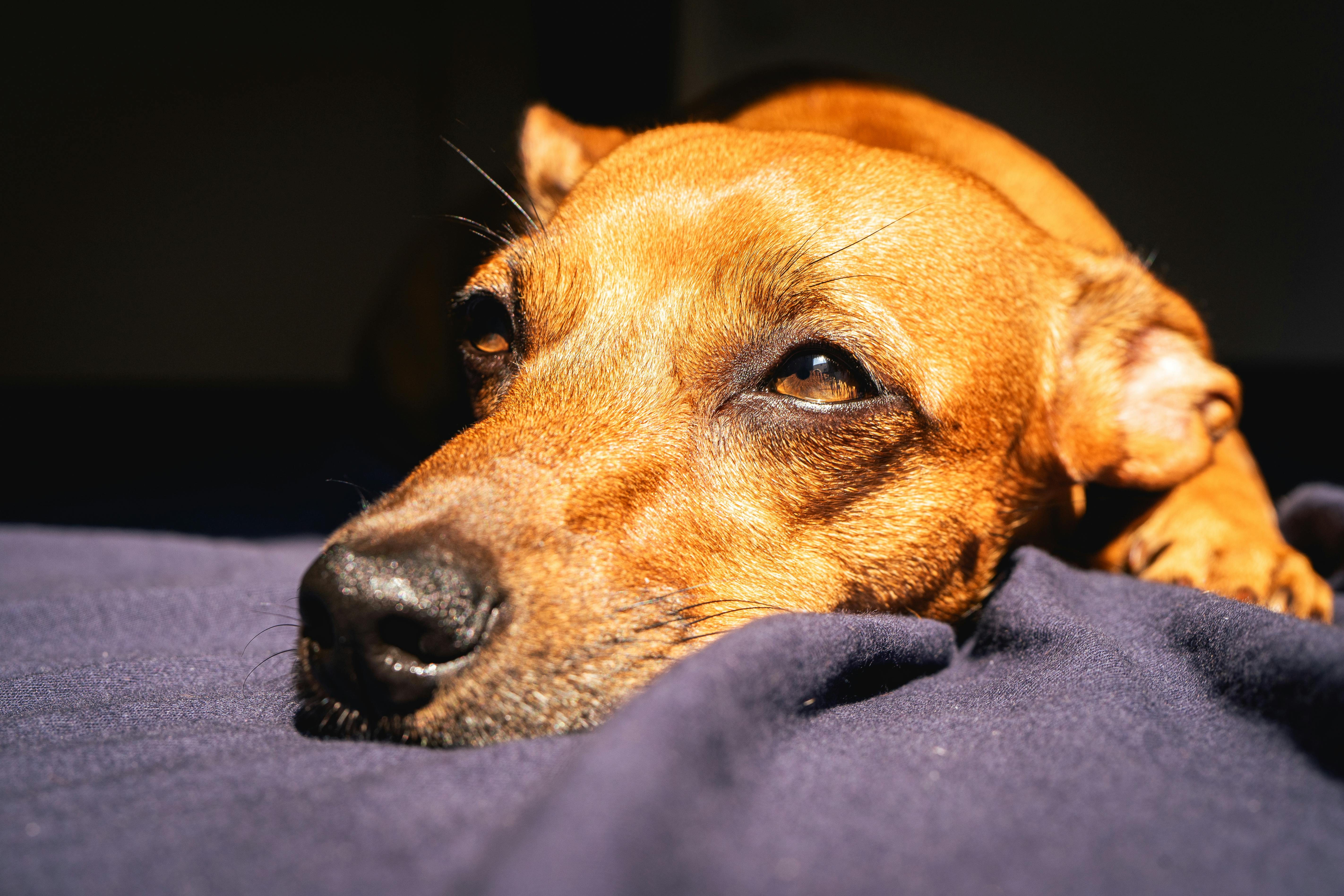 Smart Ways to Use Propranolol for Quick Anxiety Relief in 2025