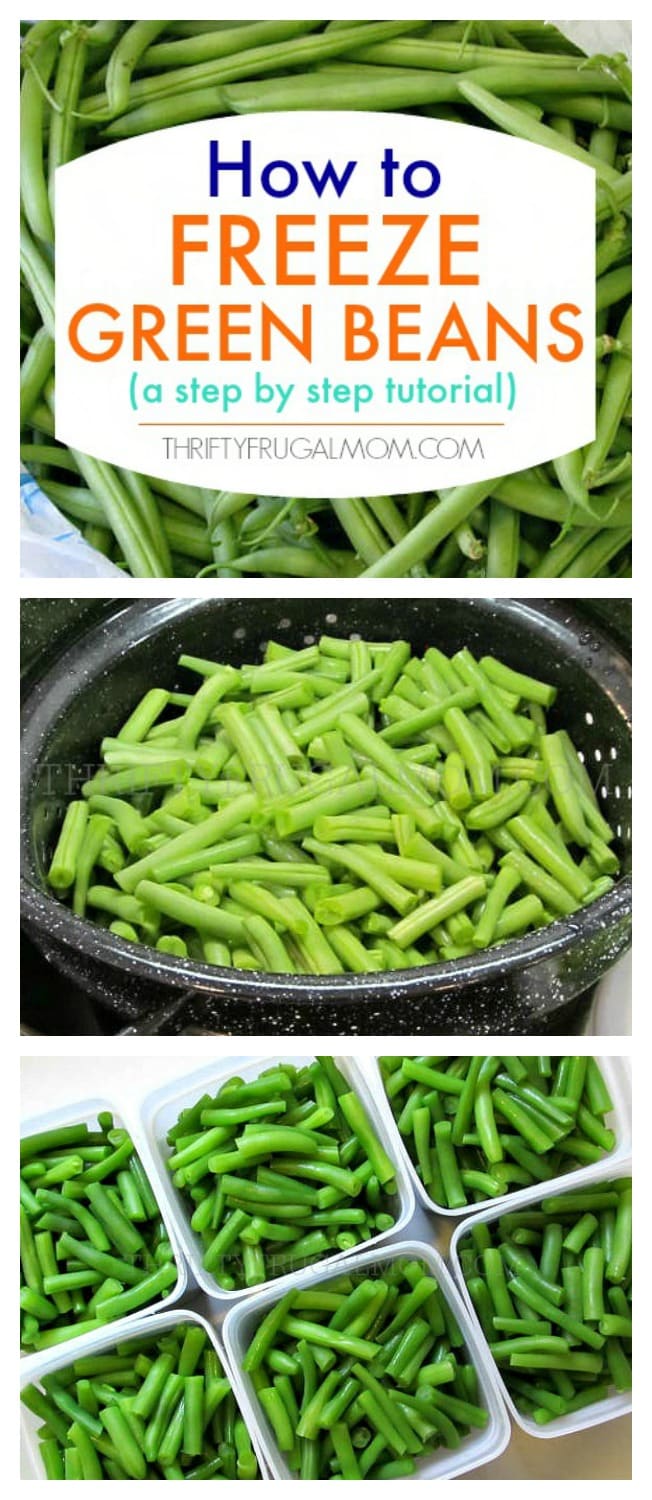 Freshly frozen green beans