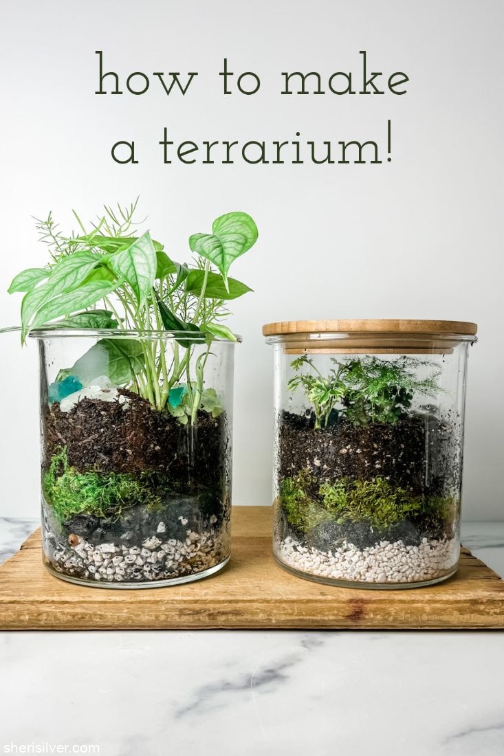 How to Make a Terrarium