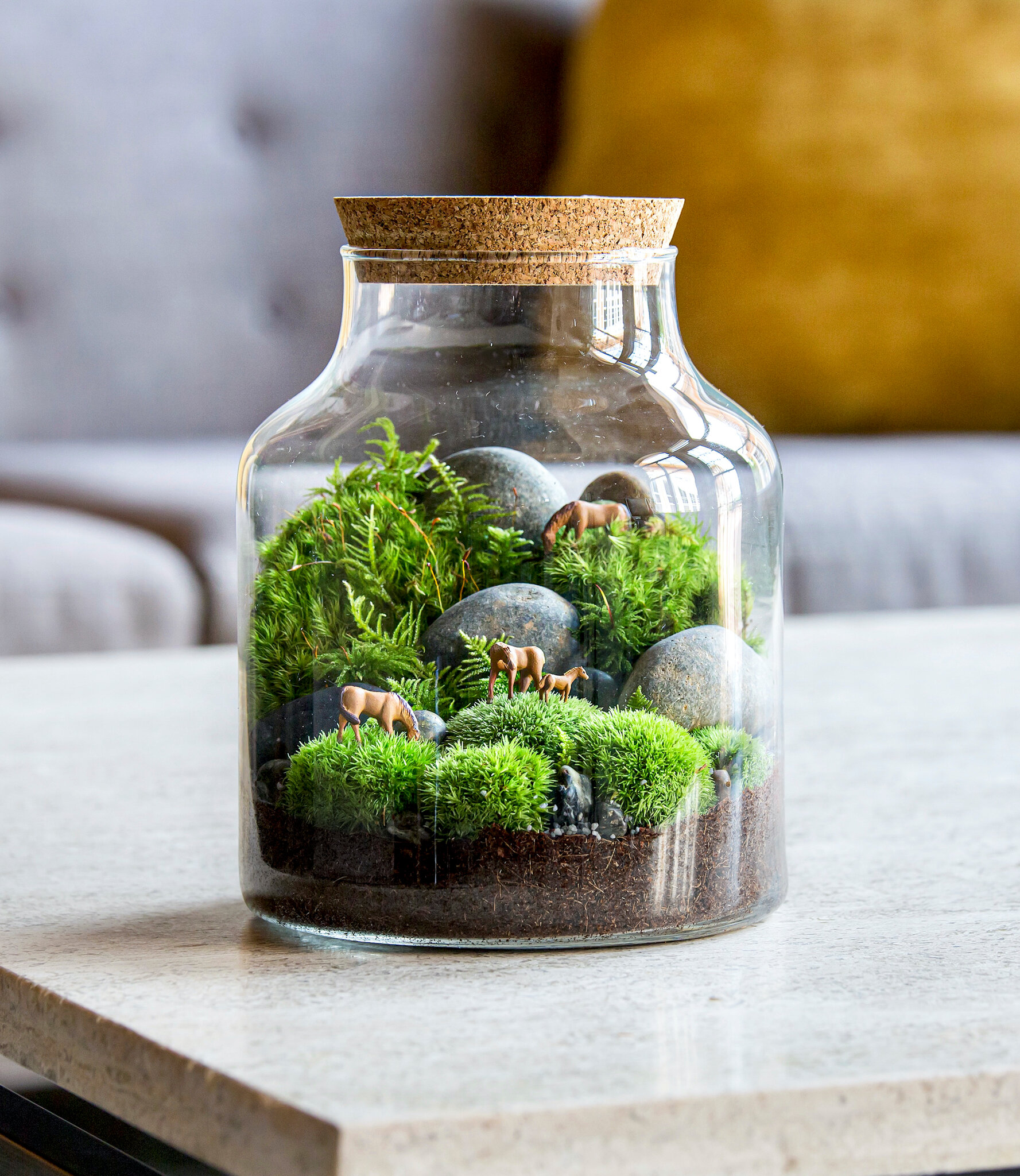 Another Terrarium Example