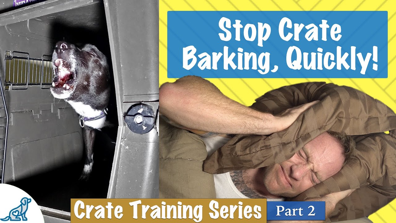 Effective barking control techniques