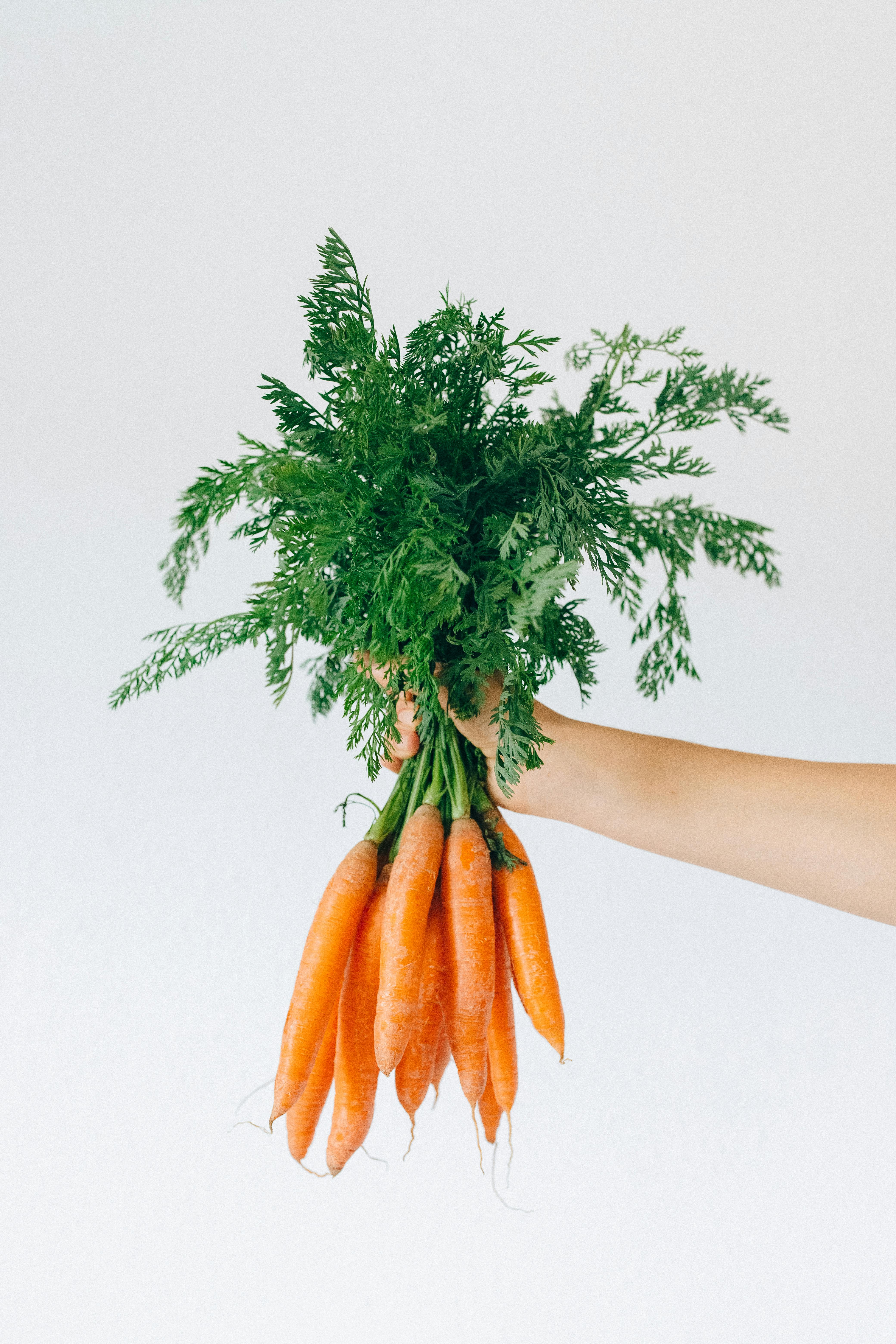 Smart Ways to Store Carrots